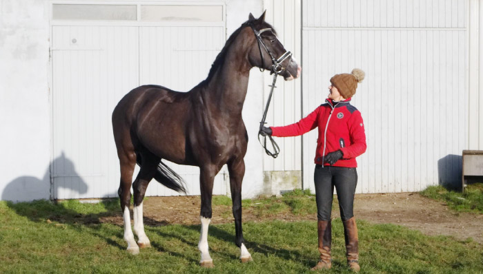 Lotte-Straarup-is-trained-rider-and-competitive-rider