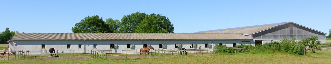 Thorup Sports Riding Club